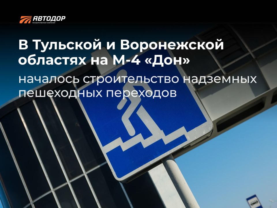 На М-4 «Дон» в Тульской и Воронежской областях началось строительство надземных пешеходных переходов