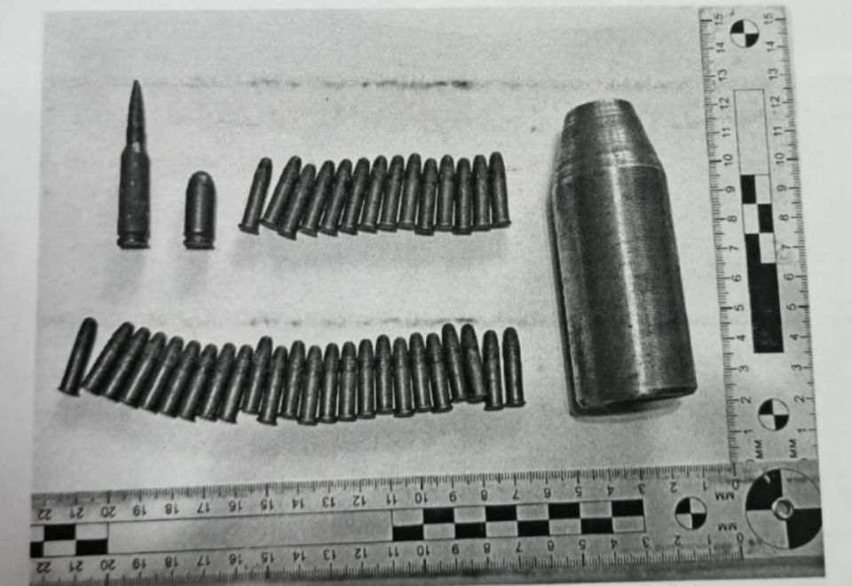 Воронежец нашел в лесу патроны и хранил их в старом портфеле