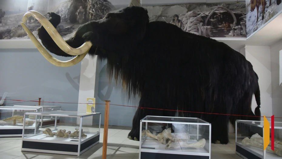 Воронежский музей-заповедник «Костенки» продлил туристический сезон