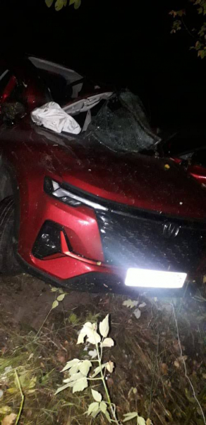 В Россошанском районе завершено расследование уголовного дела по факту смертельного ДТП