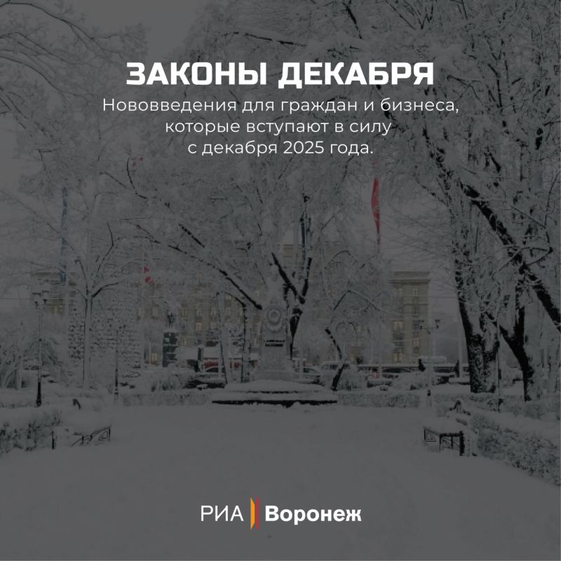Обзор РИА «Воронеж». Какие законы вступают в силу в декабре 2025 года