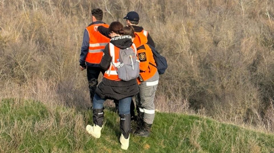 �� ������ � ����������� ������� ������� ���� ����������