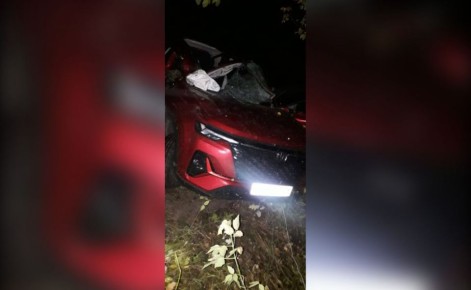 До 5 лет колонии грозит воронежцу, устроившему смертельную аварию летом 2025 года