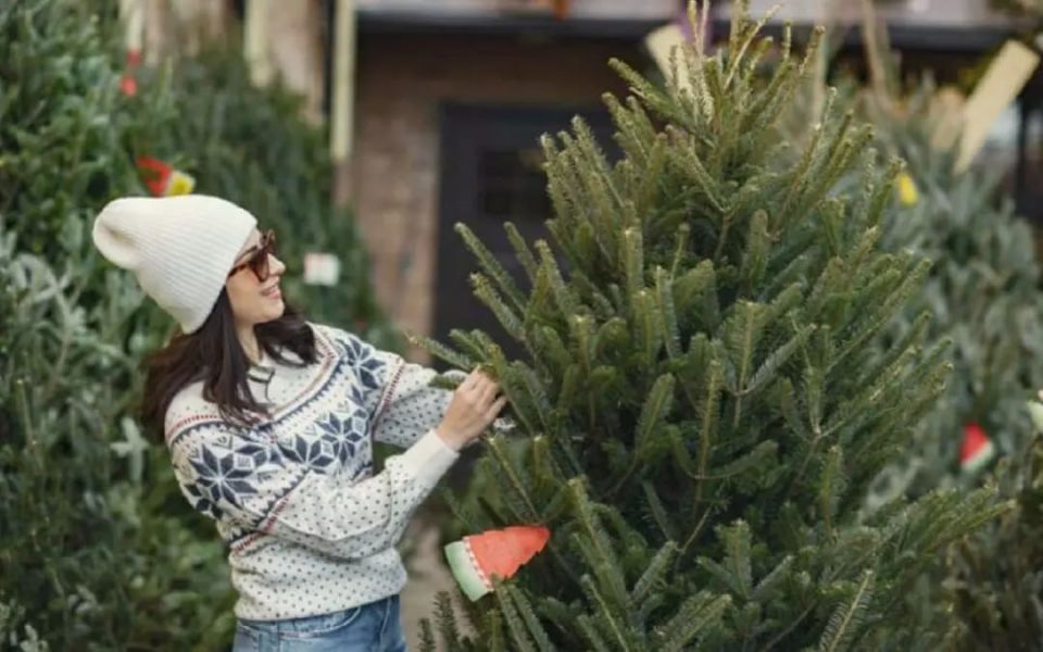 Елочные базары откроются 19 декабря во всех районах Воронежа