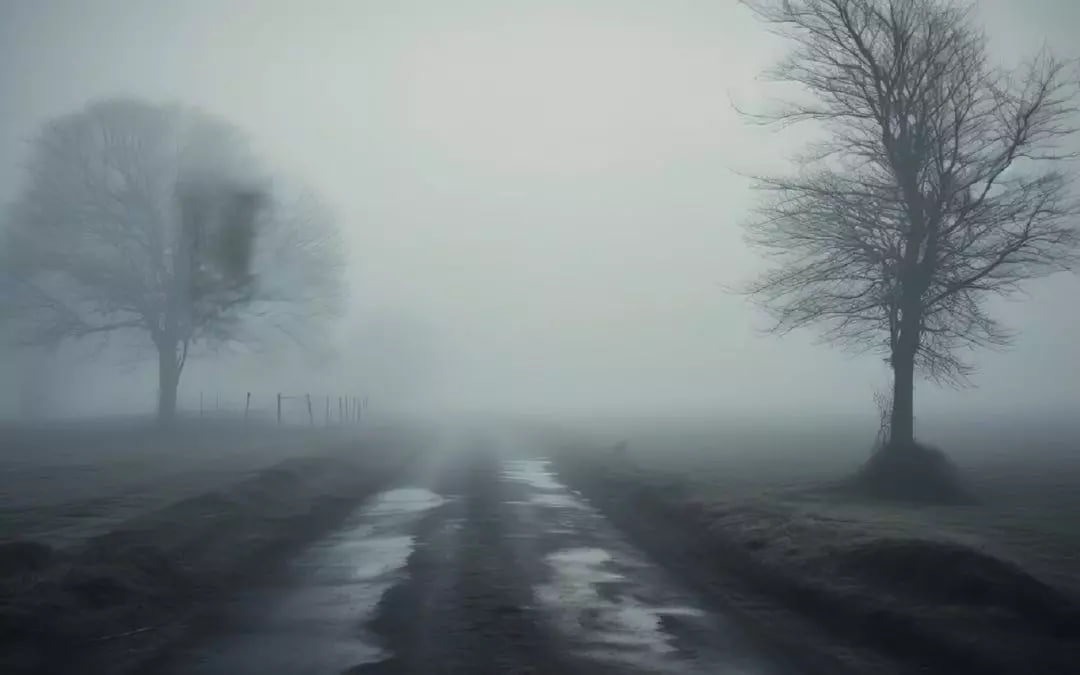 В Воронежской области установили желтый уровень погодной опасности по двум критериям