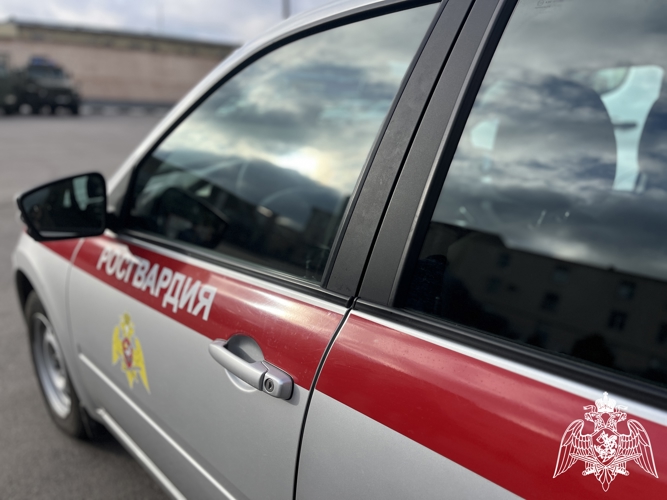 БОЛЕЕ 170 РАЗ ЗА НЕДЕЛЮ РОСГВАРДЕЙЦЫ В ВОРОНЕЖСКОЙ ОБЛАСТИ ВЫЕЗЖАЛИ ПО СИГНАЛУ «ТРЕВОГА»