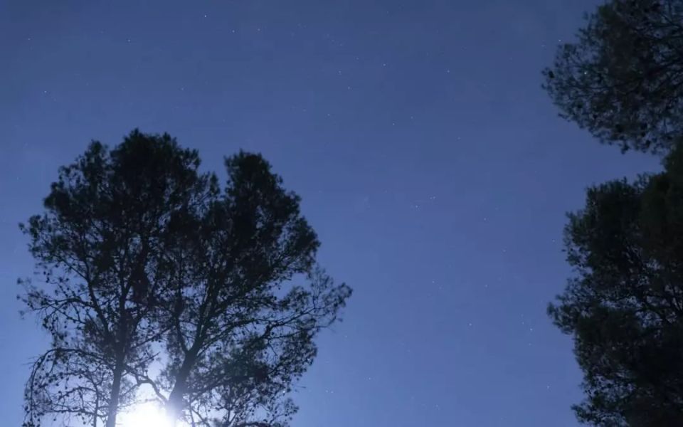 На протяжении 5 часов 47 минут украинские БПЛА пытались атаковать Воронежскую область