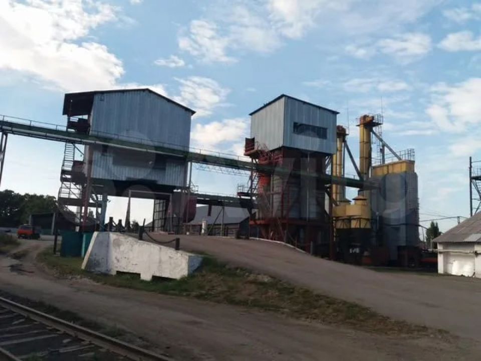 Маслозавод под Воронежем выставили на продажу