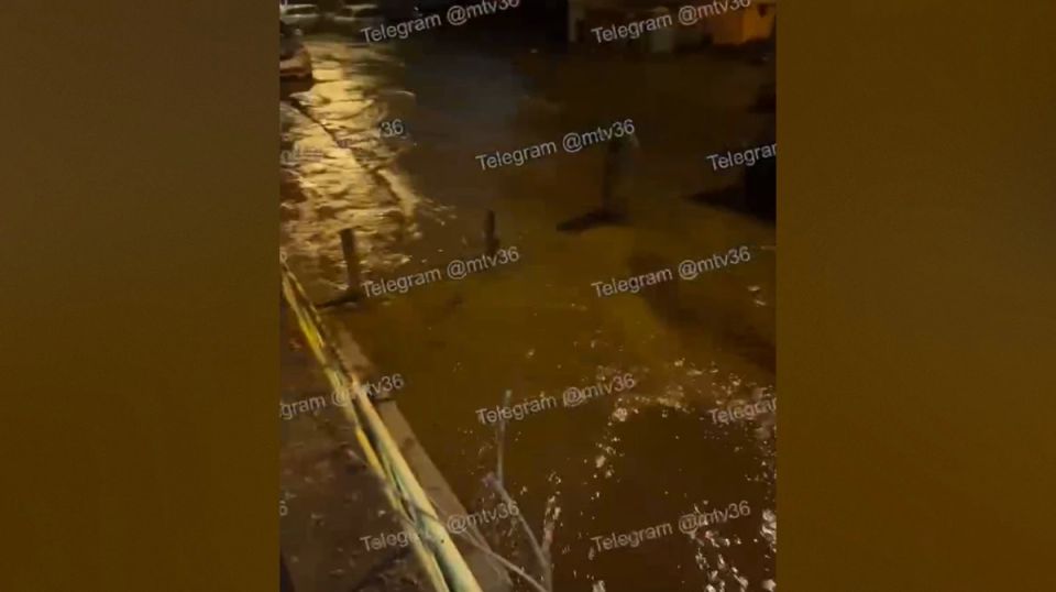 � �������� �������� ����� ����� ��������: �����