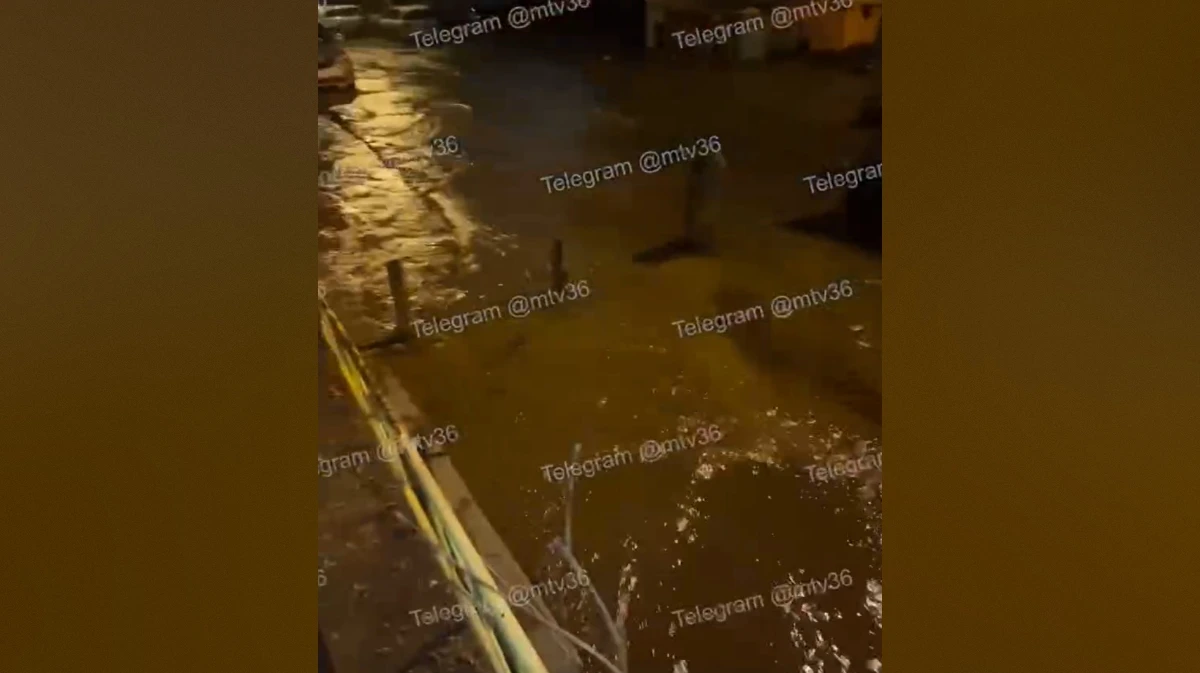 В Воронеже затопило улицу Лидии Рябцевой: видео