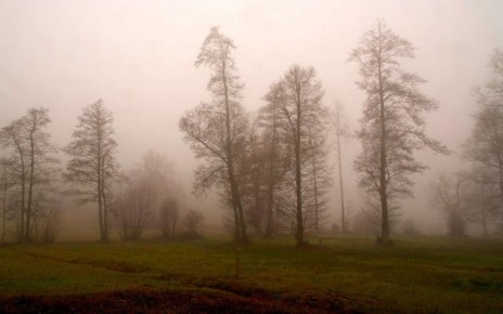 Синоптики продлили желтый уровень погодной опасности из-за сильного тумана в Воронежской области