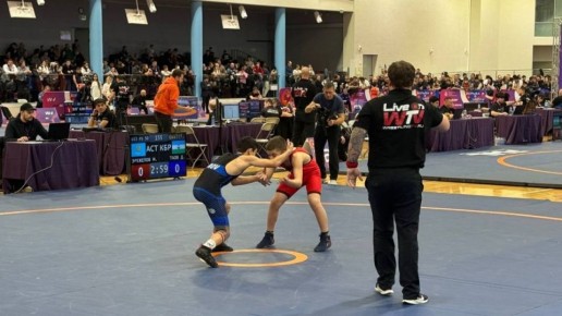 Воронежские единоборцы завоевали медали всероссийского фестиваля «Борьба в школу»