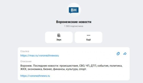 Более полутора тысяч читателей подписались на канал «Воронежских новостей» в MAX
