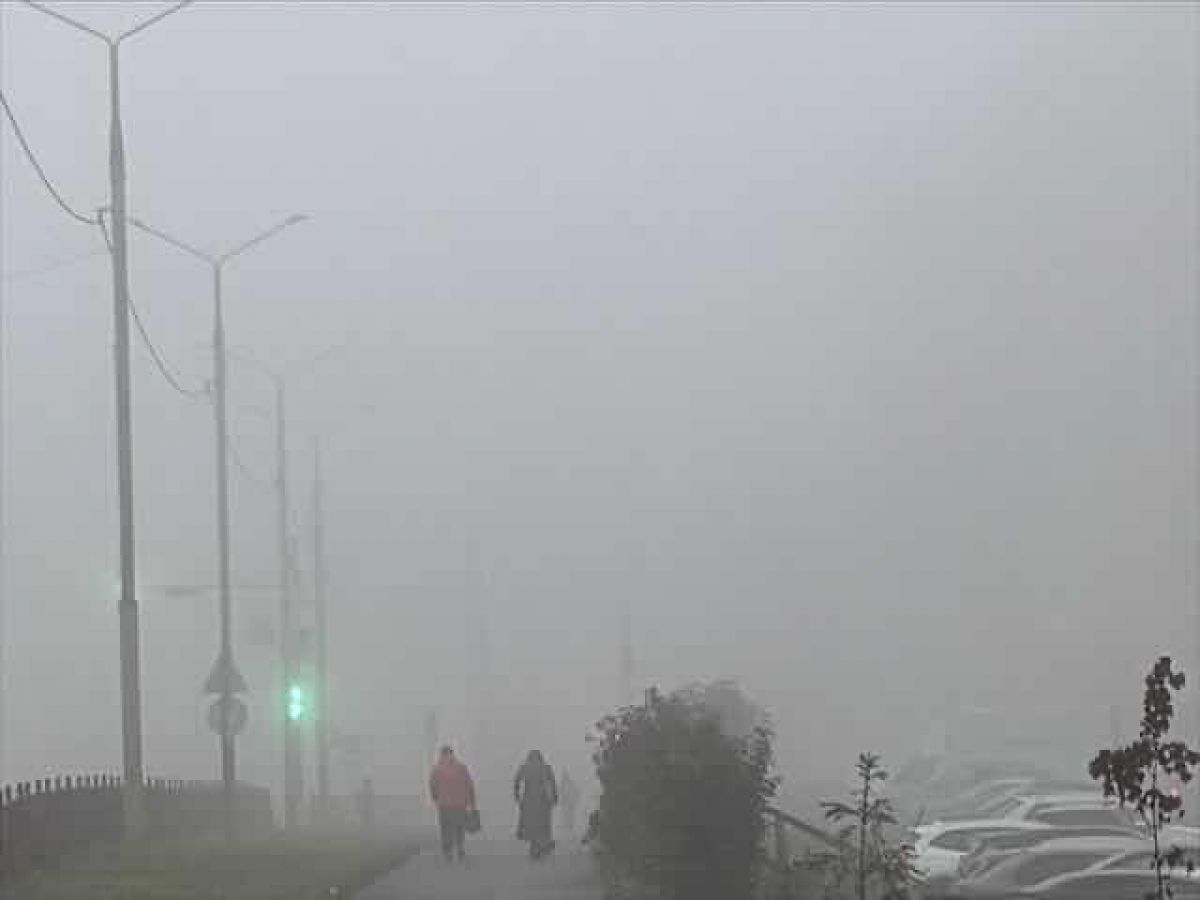 Туман задержится в Воронеже на сутки