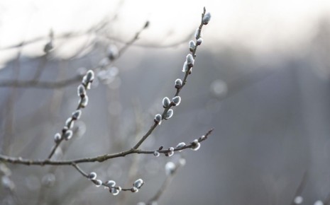 Воронежцы плавно заканчивают первую рабочую неделю зимы и уже думают над тем, как провести предстоящие выходные