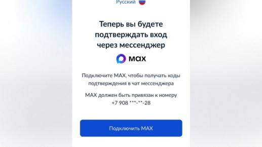 Часть воронежцев сообщили, что не могут войти на «Госуслуги» без мессенджера MAX