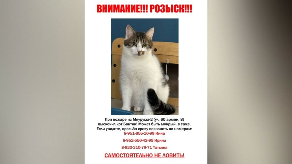 � �������� ������� �������� ������ ������ ����� ��������� �� ����� ������ �����