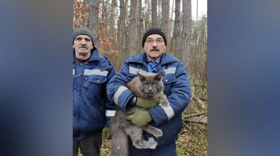 � ����������� ���������� ������������� ��������� ������ ����������� �� ������ ����