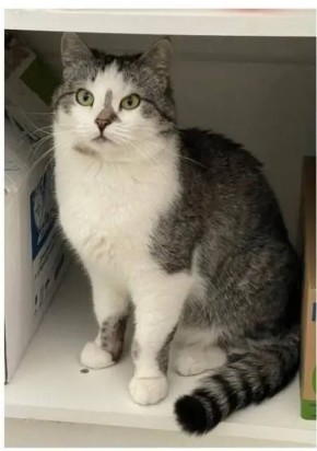       ,         -2   60 , 8