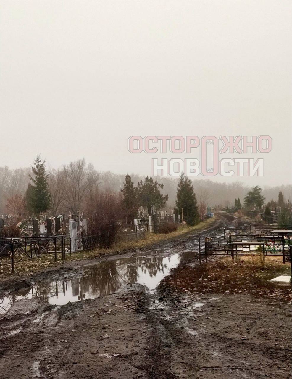 Жители Воронежской области пожаловались Ксении Собчак на мусор и отсутствие дорог на кладбище в Семилуках