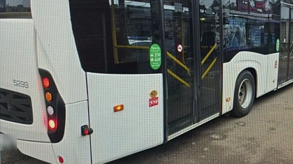 � �������� ������� �49 ���� � ��������� �������