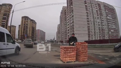 В Воронеже водитель возмутился горой кирпичей посреди дороги