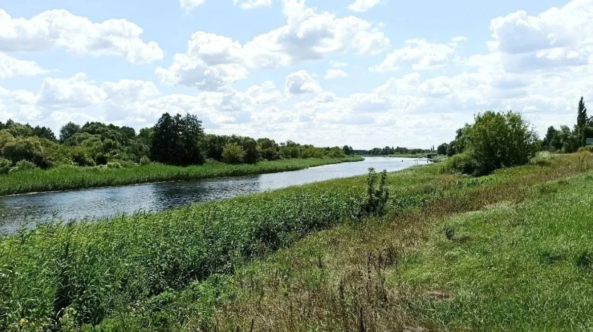 В Воронежской области спрогнозировали глобальное потепление