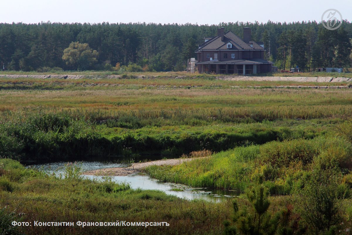 Спор о сносе особняка на берегу Усмани в Воронеже перешел в кассацию