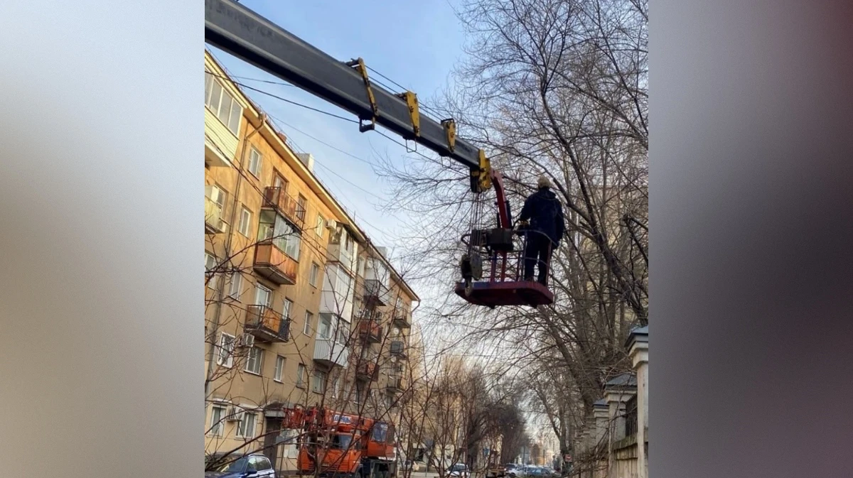 Воронежские экологи провели санитарную обрезку деревьев на улицах Энгельса и Кирова