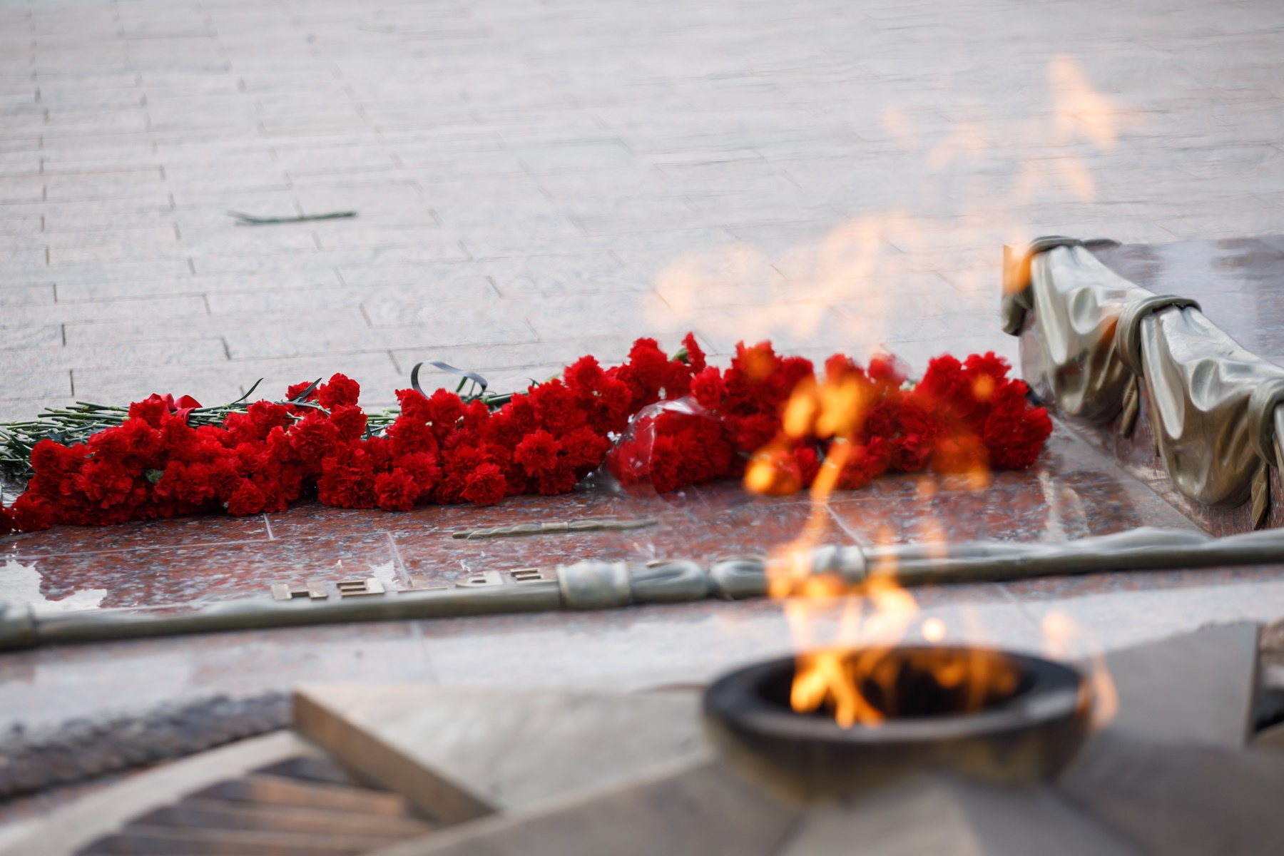 Первые лица региона обратились к воронежцам в День героев Отечества