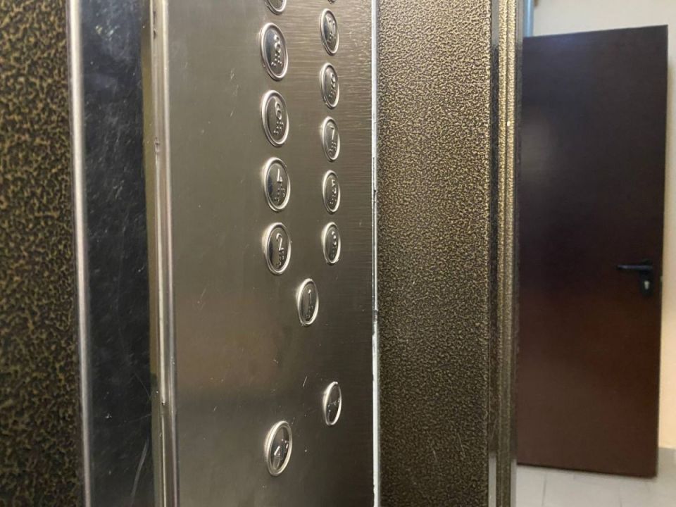 ����������� ����������� �������� �������� 200 ����� �� ������ ���� �� ����� 20-����� �������