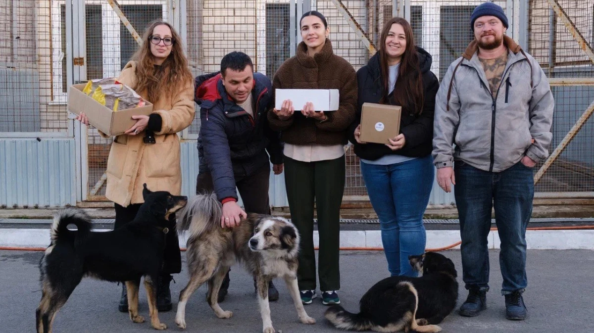 Девелоперы поддержали воронежский приют для бездомных животных