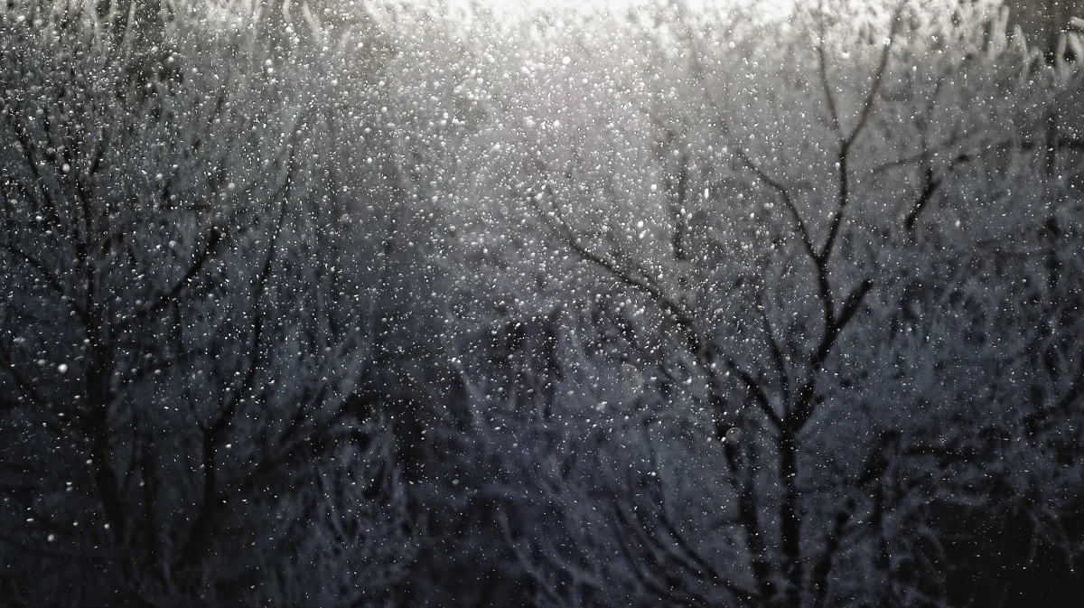 Воронежцев предупредили о сильном мокром снеге и метели