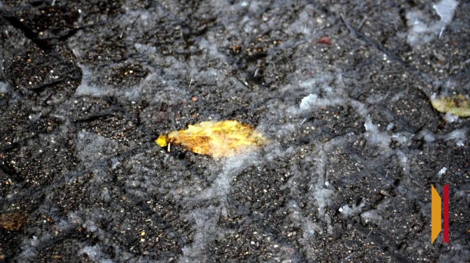 � ����������� ������� ��������� �������