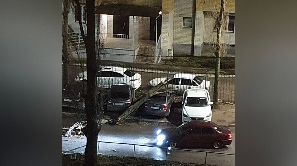 � �������� ����� ������ �� ������� ������� �������� �� 63-�