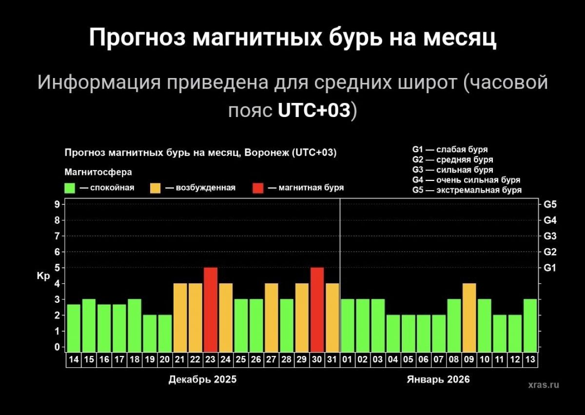 Две магнитные бури накроют Воронежскую область в конце декабря