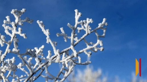 В Воронежской области в ночь на 16 декабря ожидается мороз до -15 градусов