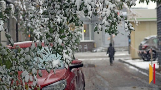 Итоги недели. Что важного произошло в Воронежской области с 8 по 14 декабря