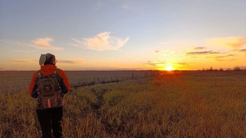 � ����������� ������� �� ������ �������� ����� ����� �������