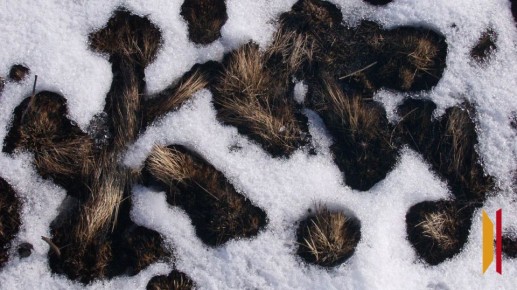 На рабочей неделе воронежцев после сильных морозов ждет оттепель