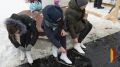 В Воронеже на Адмиралтейской площади открылся каток