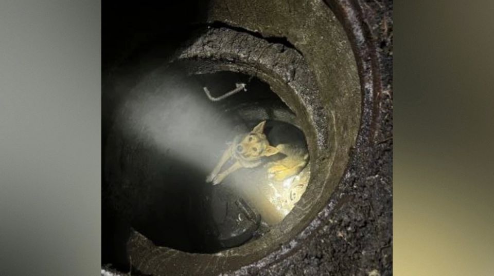 � �������� ������ ������, ������������� � �������