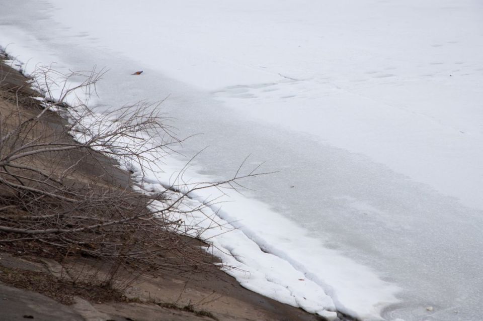 ����� ������� ������� �� ������ ���� ������� ������ ��������� ������������ ���������