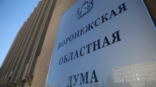 В Воронежской облдуме разработали законопроект о повышении выплат за рождение третьего и последующего ребенка до 350 тыс рублей