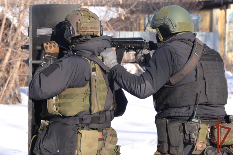 При содействии спецназа Росгвардии в Зауралье задержаны наркокурьеры с крупной партией запрещенных веществ (видео)