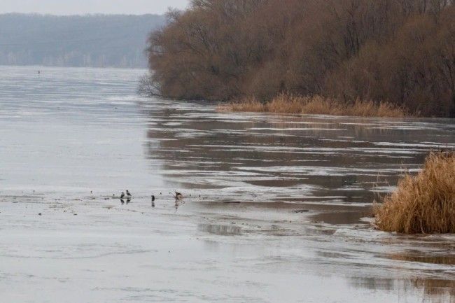 � ����������� ������� � ������ 2025 ���� ������� 75 �������, � ��� ����� ���� �����