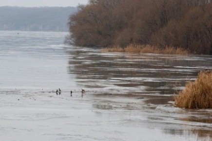 � ����������� ������� � ������ 2025 ���� ������� 75 �������, � ��� ����� ���� �����