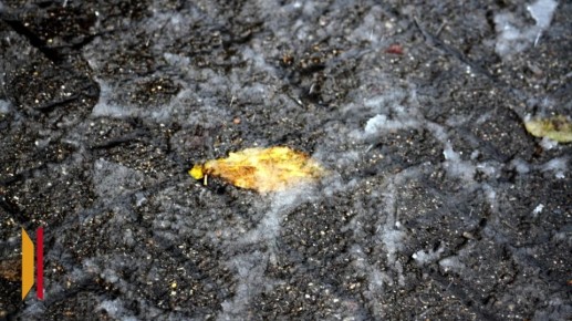 Воронежцев вновь предупредили о тумане и гололеде