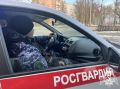 БОЛЕЕ 220 РАЗ ЗА НЕДЕЛЮ РОСГВАРДЕЙЦЫ В ВОРОНЕЖСКОЙ ОБЛАСТИ ВЫЕЗЖАЛИ ПО СИГНАЛУ «ТРЕВОГА»