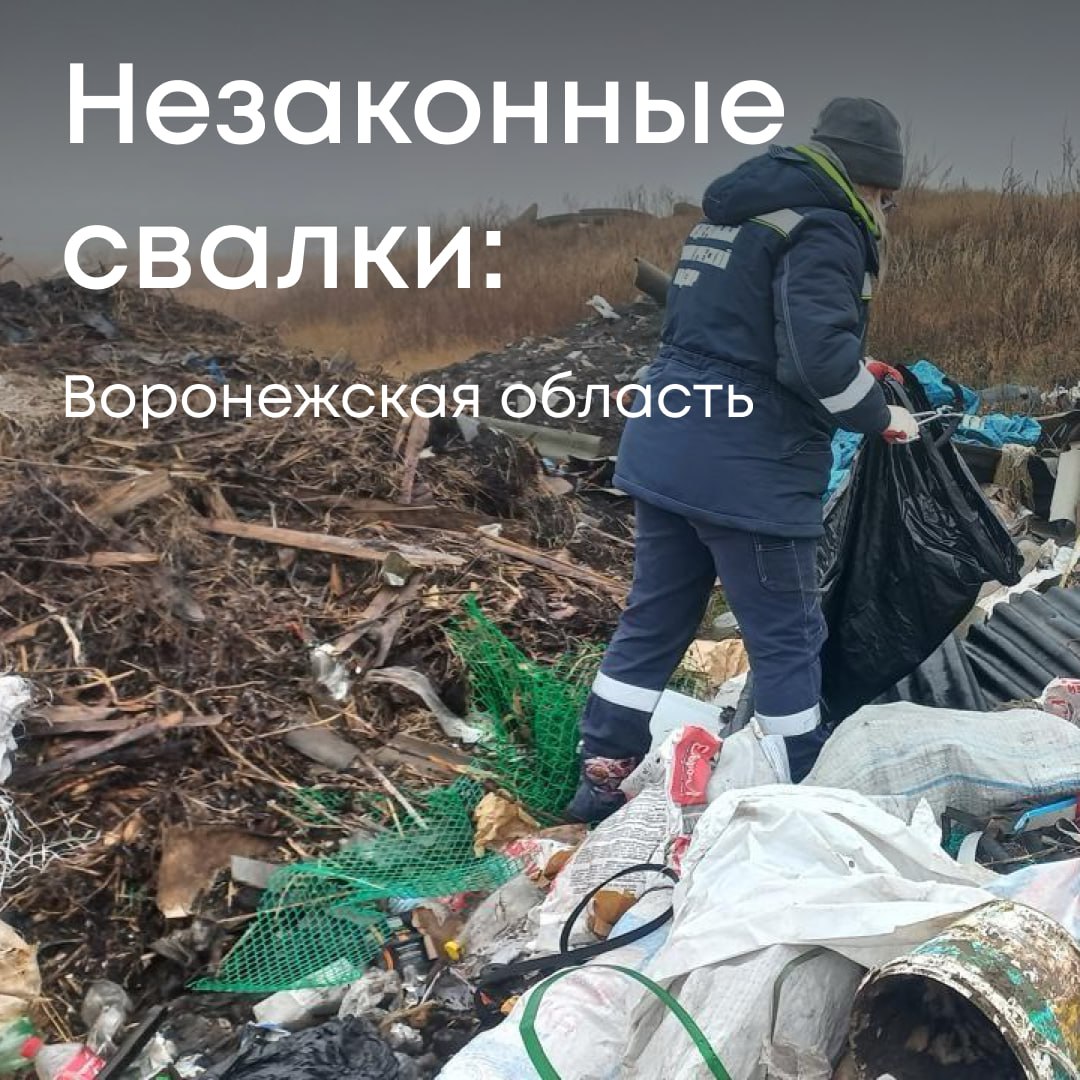 Росприроднадзор добивается возмещения более 16,4 млн рублей за ущерб от незаконной свалки в Воронежской области